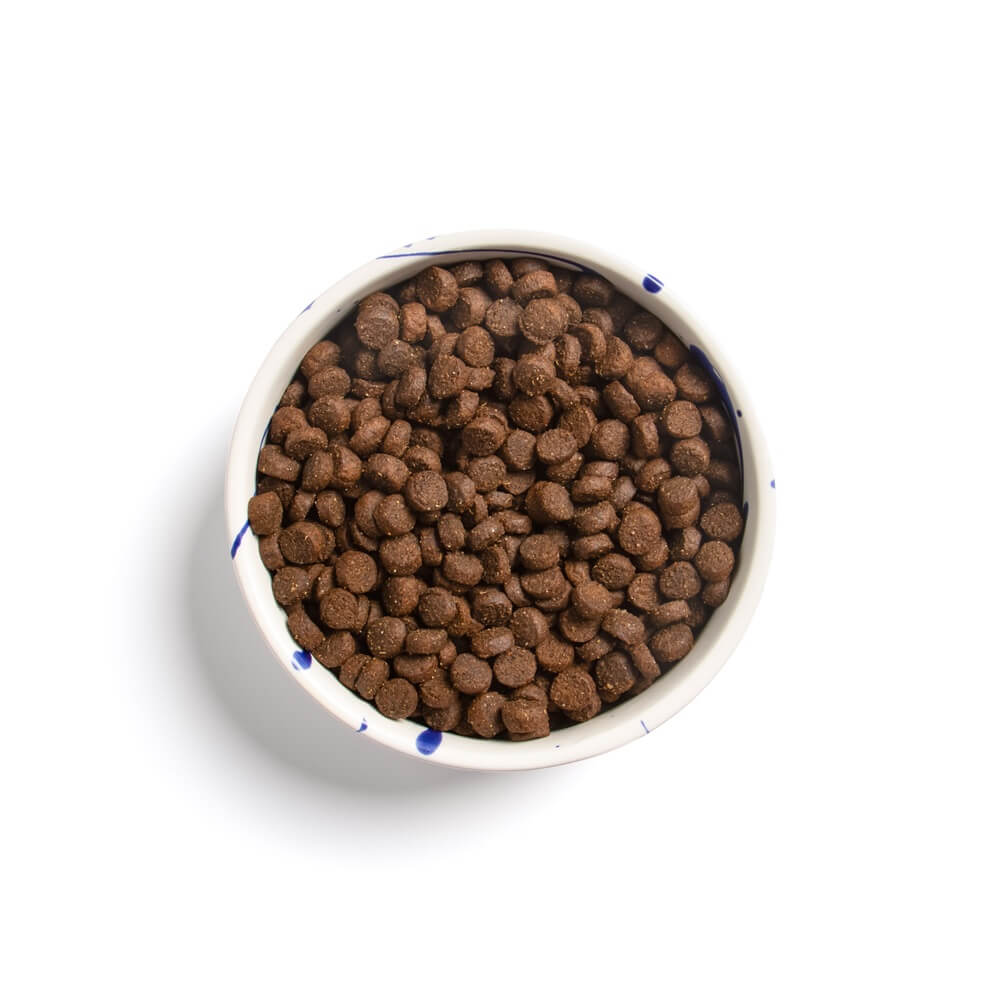 FENRIER ALL LIFE STAGES SENSITIVE