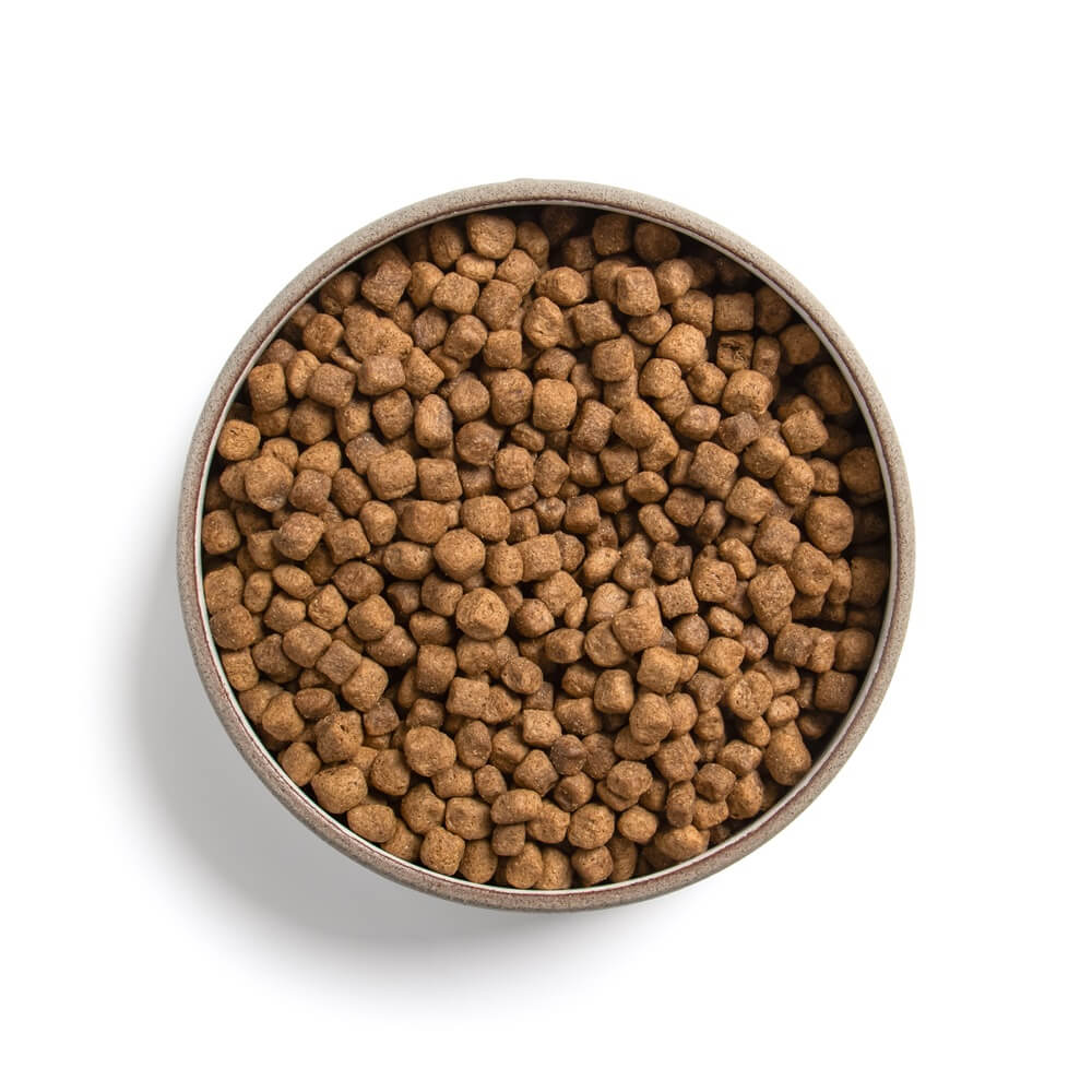 ADULT MIT INSEKTENPROTEIN