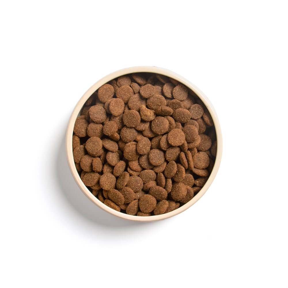 ADULT MIT GEFLÜGEL, LACHS & RIND