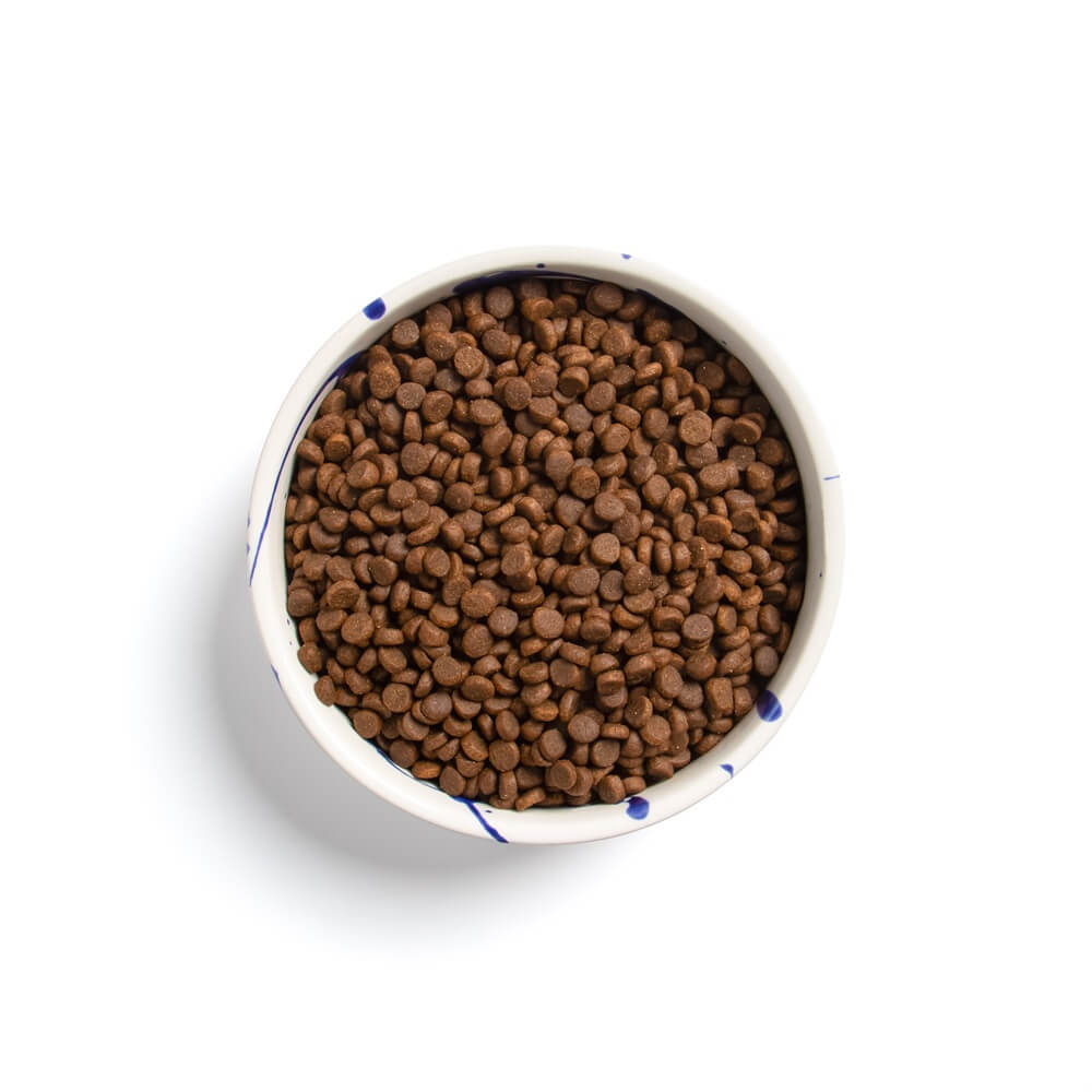 ALL LIFE STAGES MINI MIT TRUTHAHN & ENTE