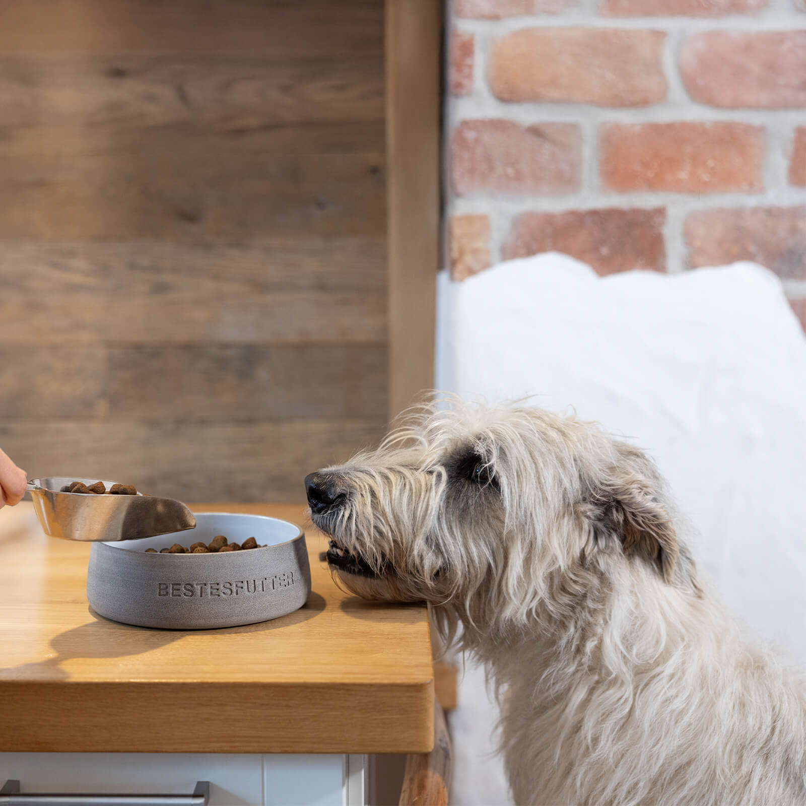 ALL LIFE STAGES MIT LACHS