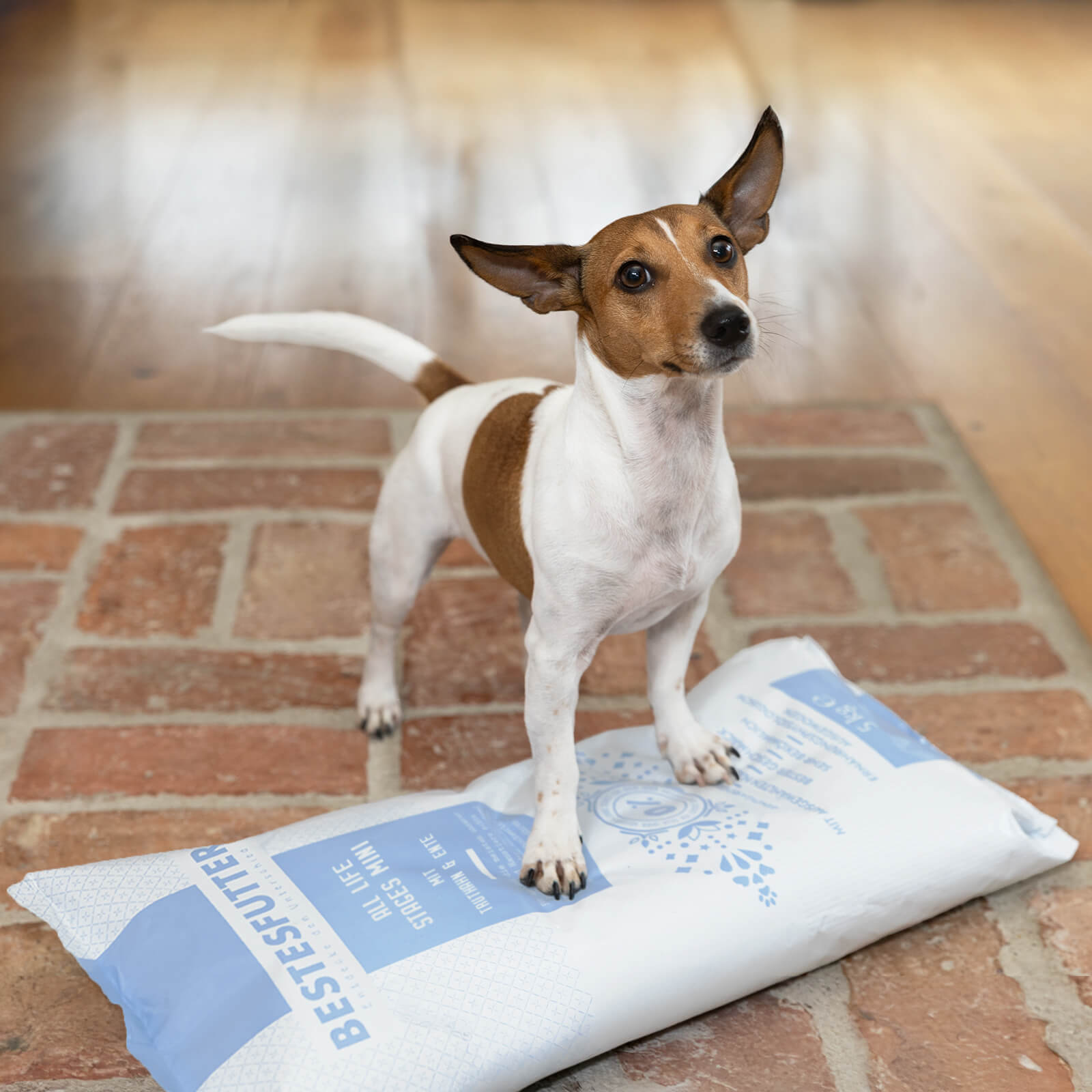 ALL LIFE STAGES MINI MIT TRUTHAHN & ENTE